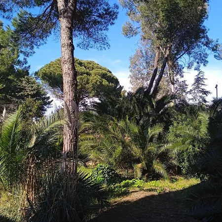 Accesso Diretto Sul Mare Maredilucecala * Calambrone
