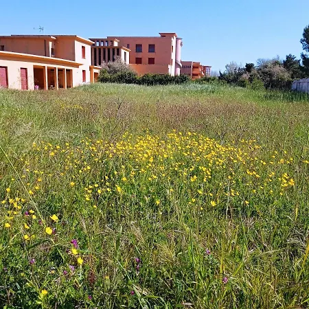 Accesso Diretto Sul Mare Maredilucecala *