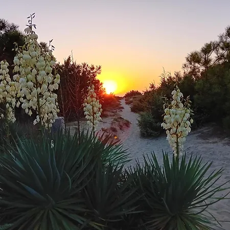Accesso Diretto Sul Mare Maredilucecala Apartment